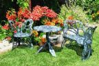 Antique Green Butterfly Set